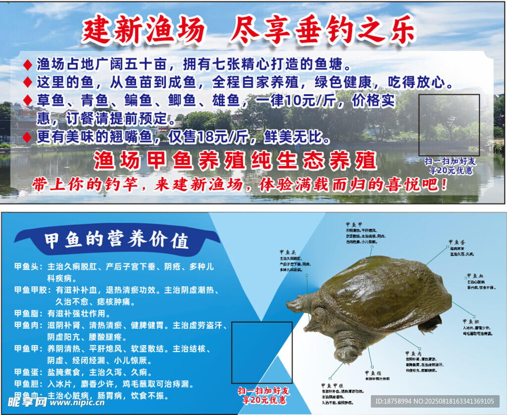 甲鱼的营养价值卡片