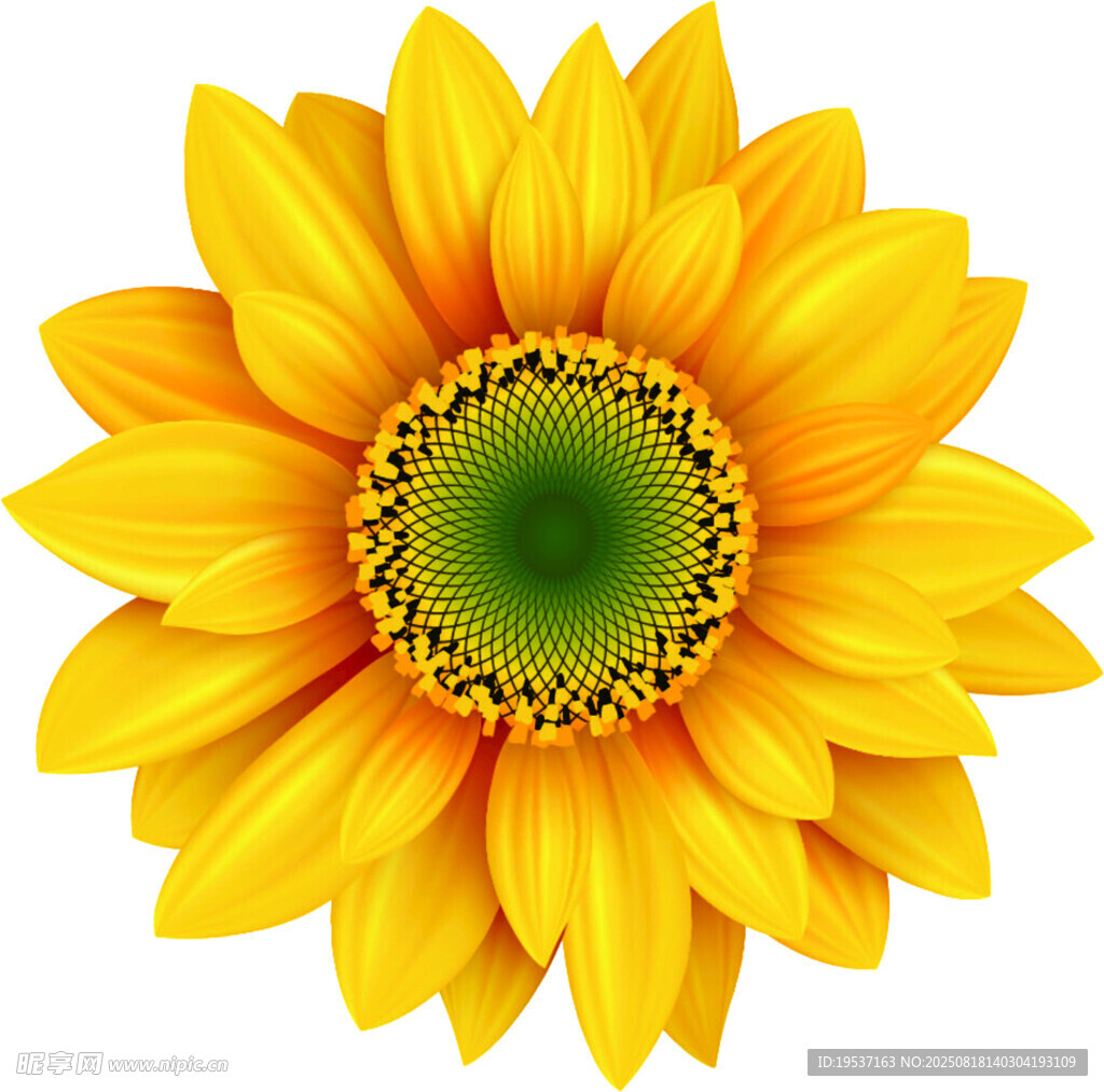 花
