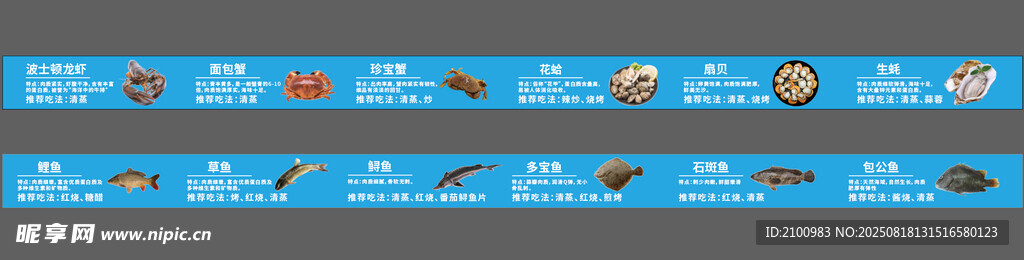 蓝色卡通动物图案背景