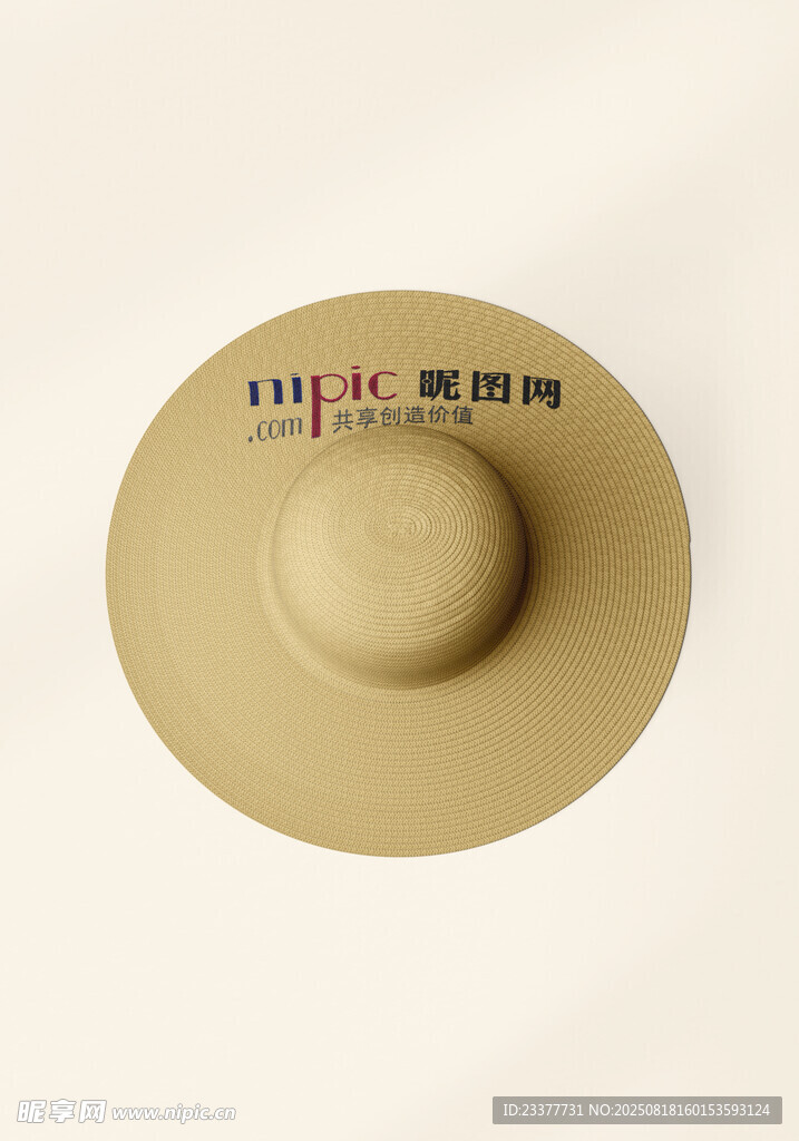 遮阳帽草帽太阳帽文创毕设样机