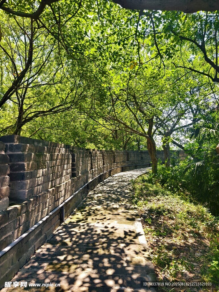 绿荫下的幽静小道
