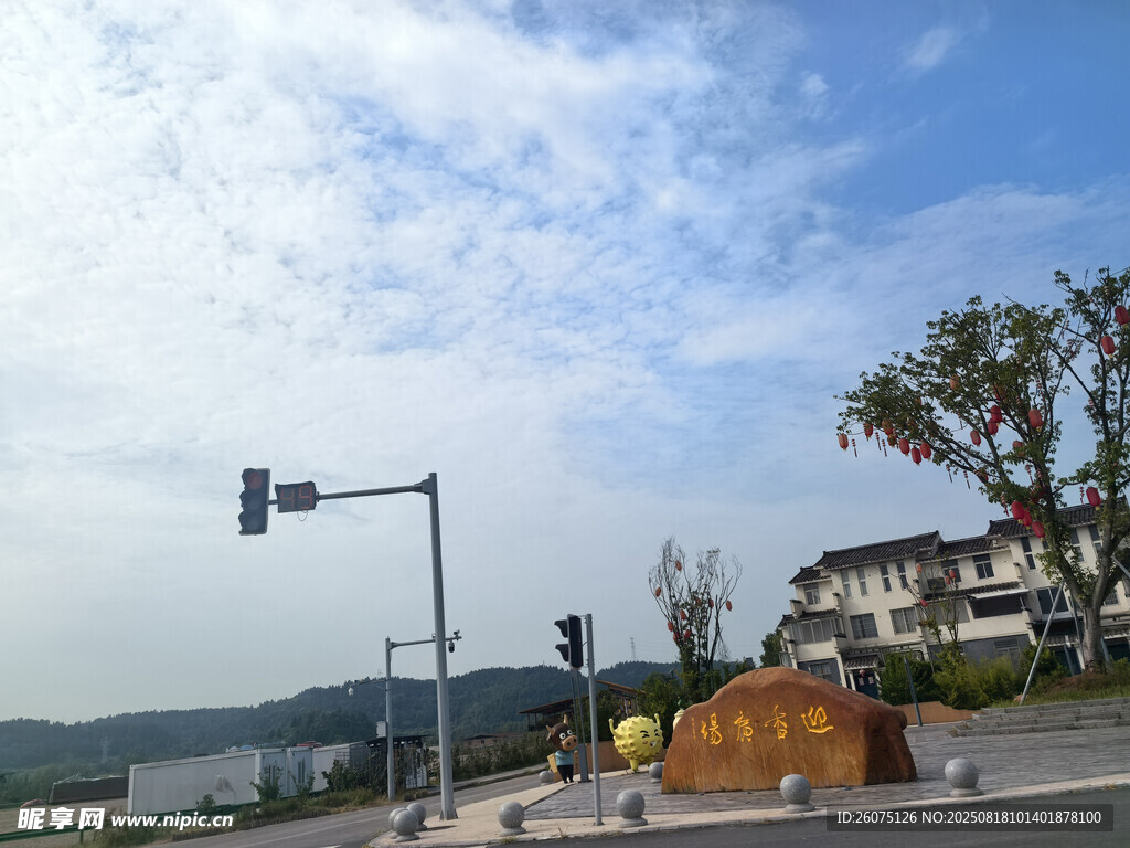 户外道路旁的景观