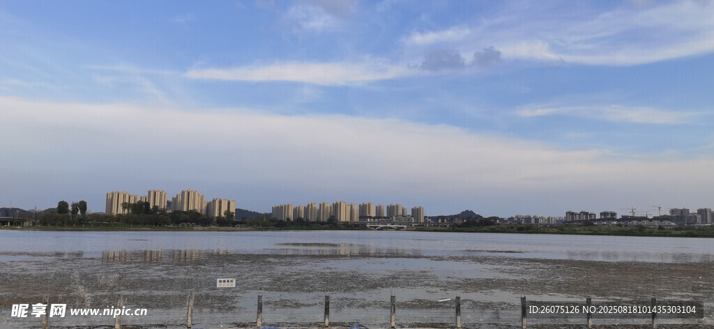 海滨城市天际线景观
