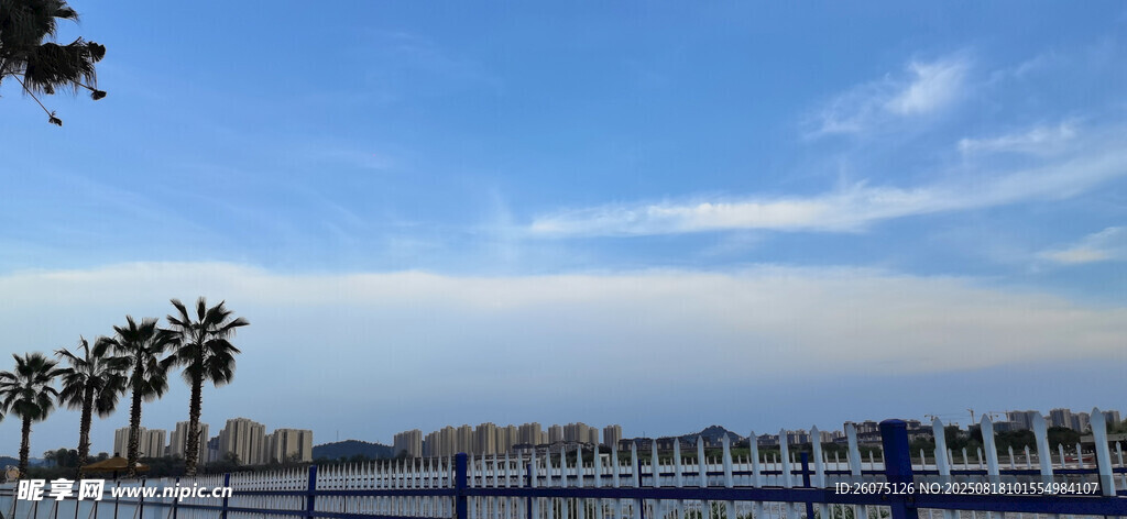 海滨风光棕榈树与蓝天