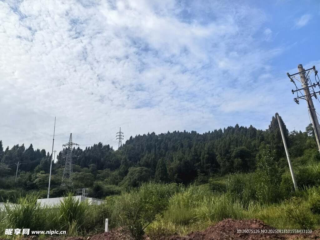 郊外田野与电线杆风景