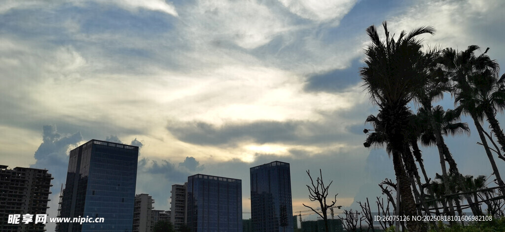 黄昏下的城市天际线与棕榈树景观