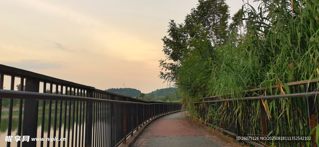 黄昏下的河畔步道