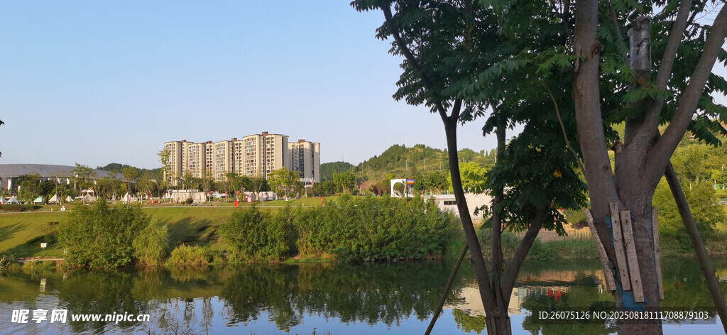 湖畔绿树环绕的城市风光