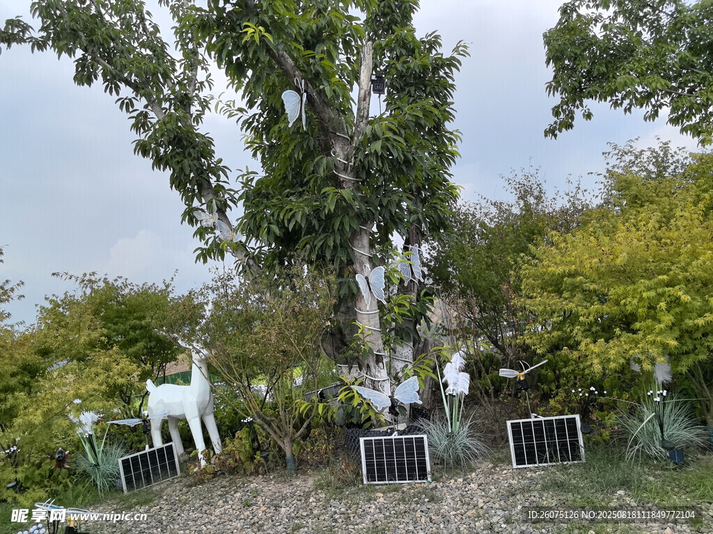 户外树下的装饰梦幻小景