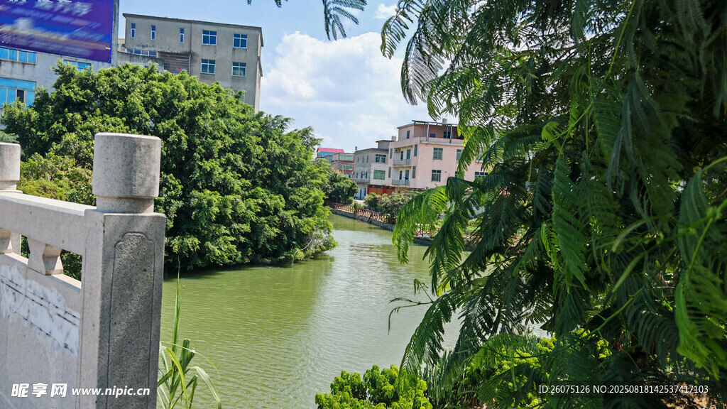 河畔景致绿植环绕的水乡