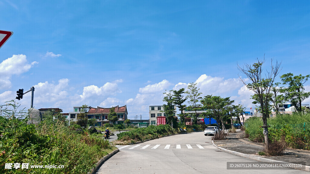 乡村公路旁的清新景致