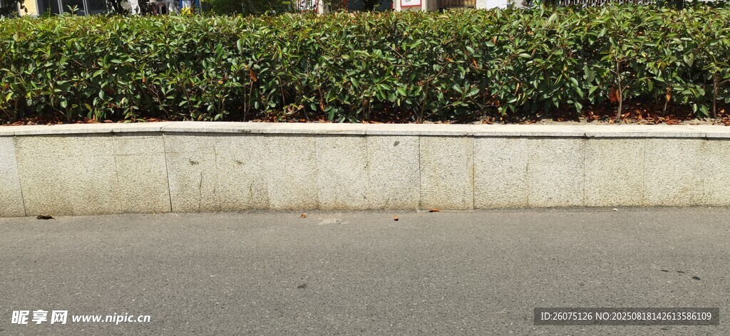 路边绿植与矮墙