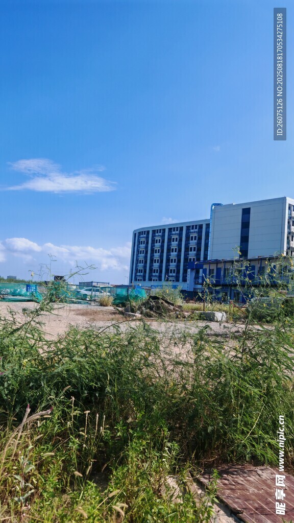 城市边的荒地与远处建筑