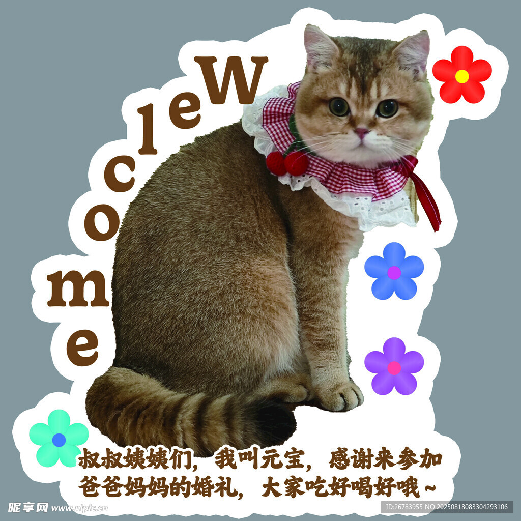 可爱猫咪欢迎贴纸装饰