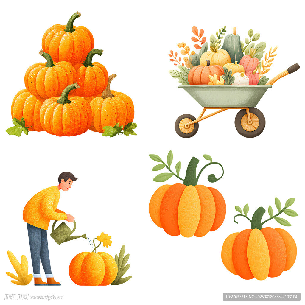 秋季南瓜农事插画素材