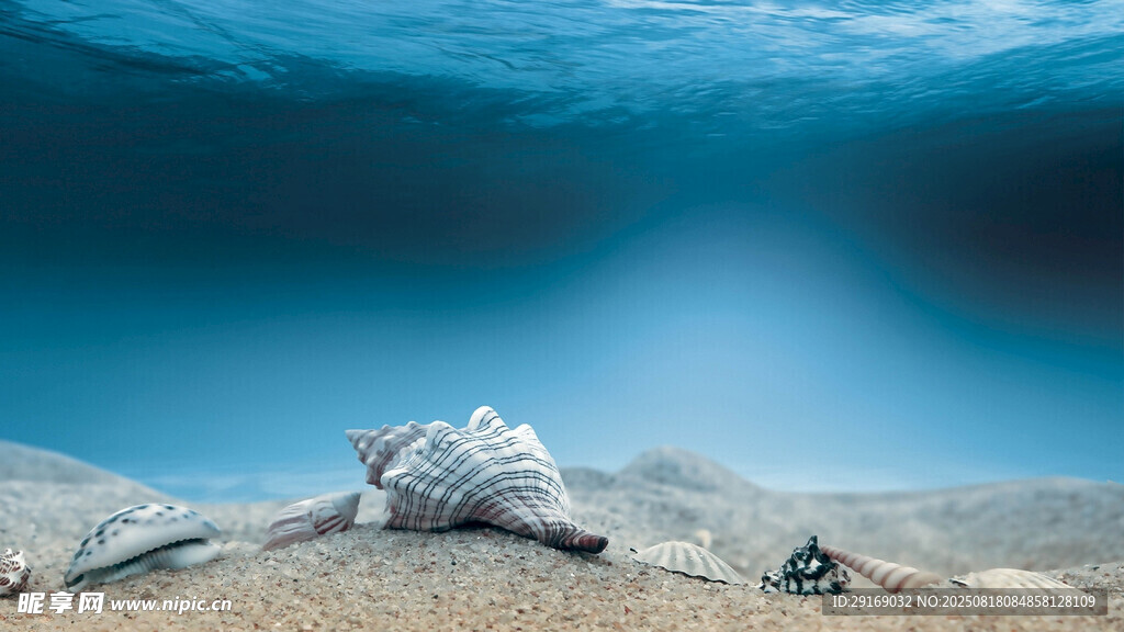 海底景象中的神秘物体