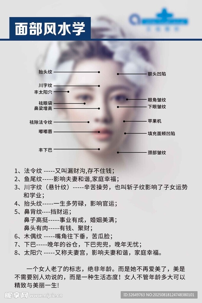 面部美学标准示意图