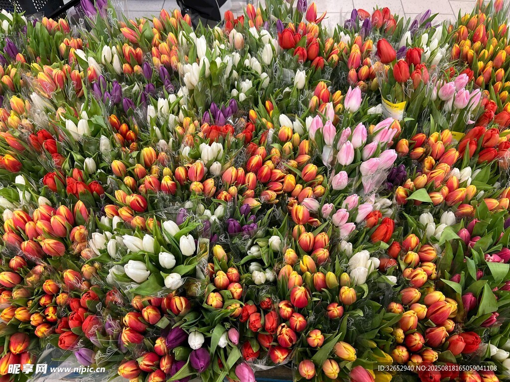 鲜花