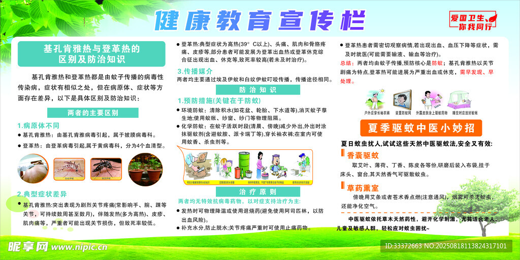 基孔肯雅热与登革热