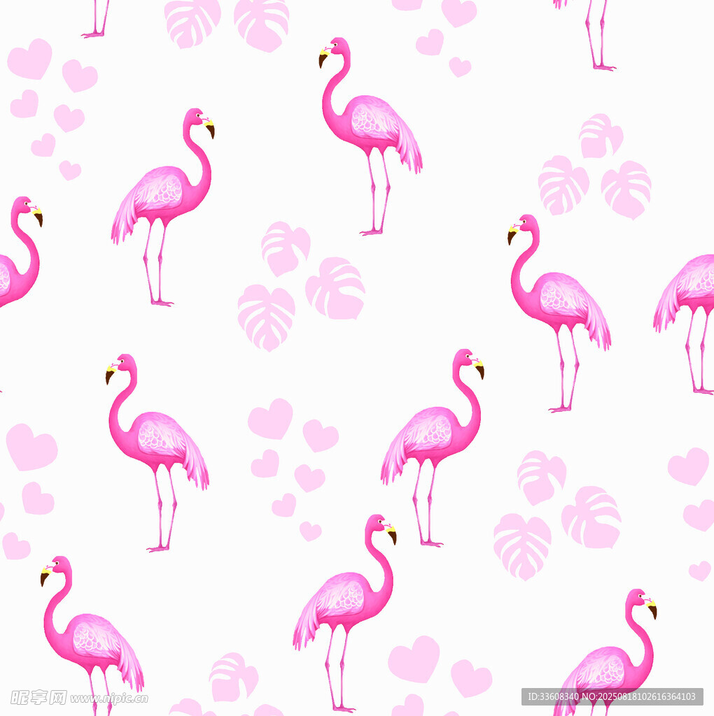 火烈鸟