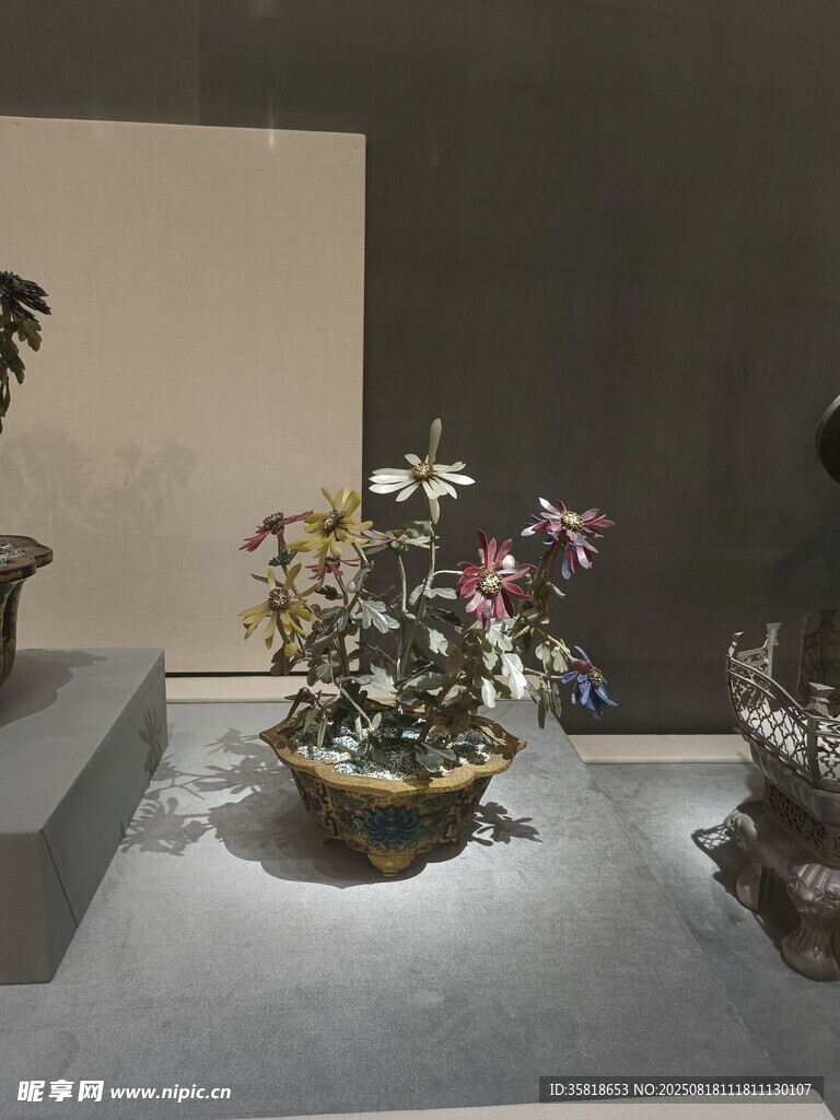 盆栽 花盆