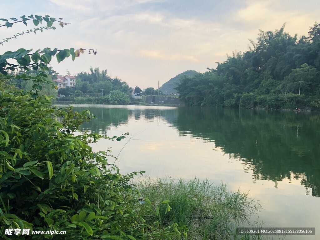 宁静湖畔自然风光