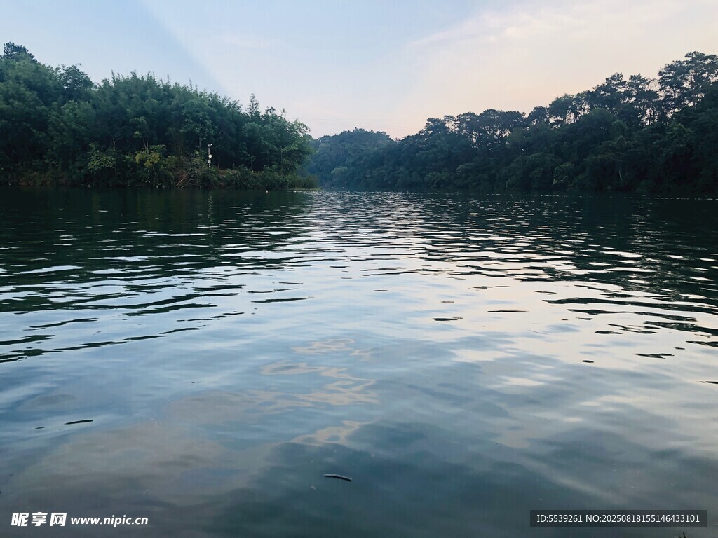 宁静湖面与岸边葱郁树林
