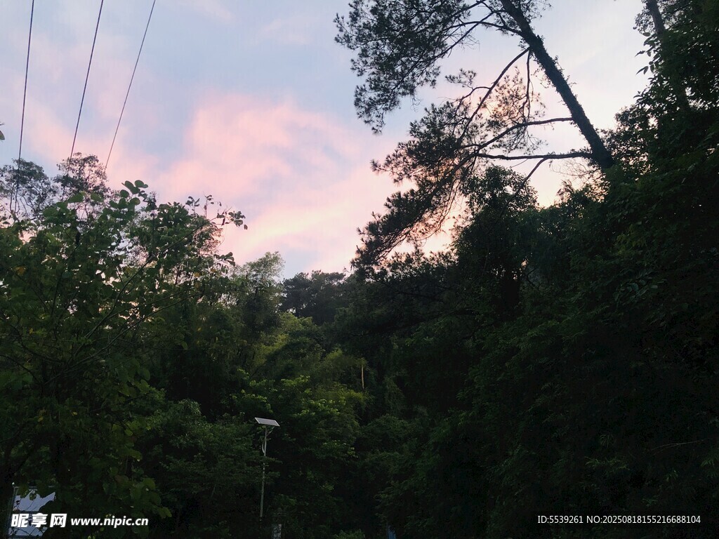 黄昏下的树林与天空美景