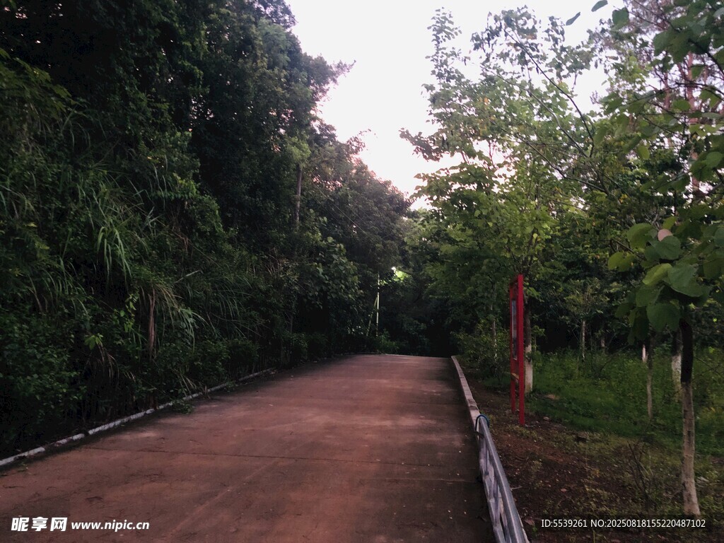 自然之景