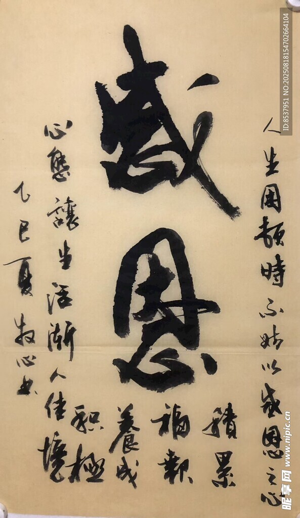 感恩 杨克东书法