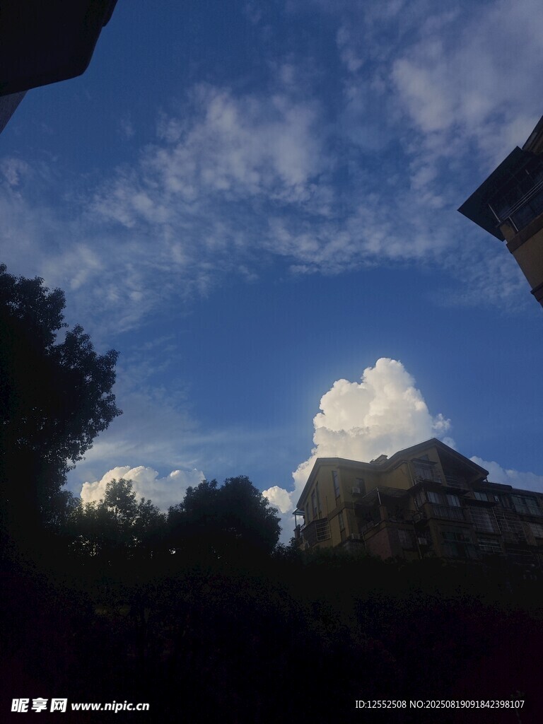 蓝天绿树间的建筑一角