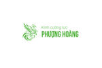 凤凰logo