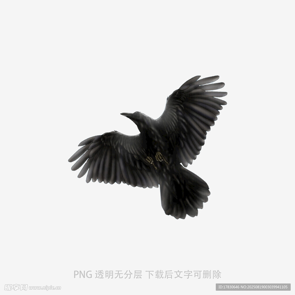乌鸦