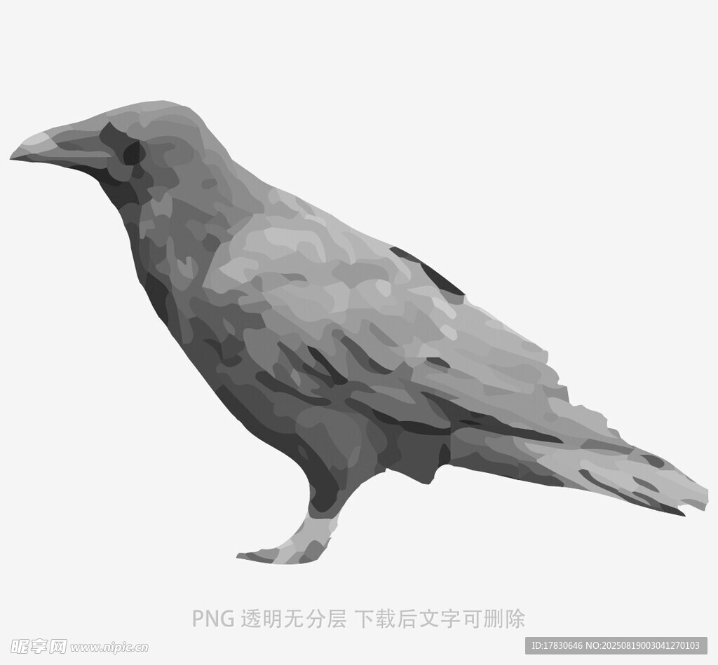 乌鸦