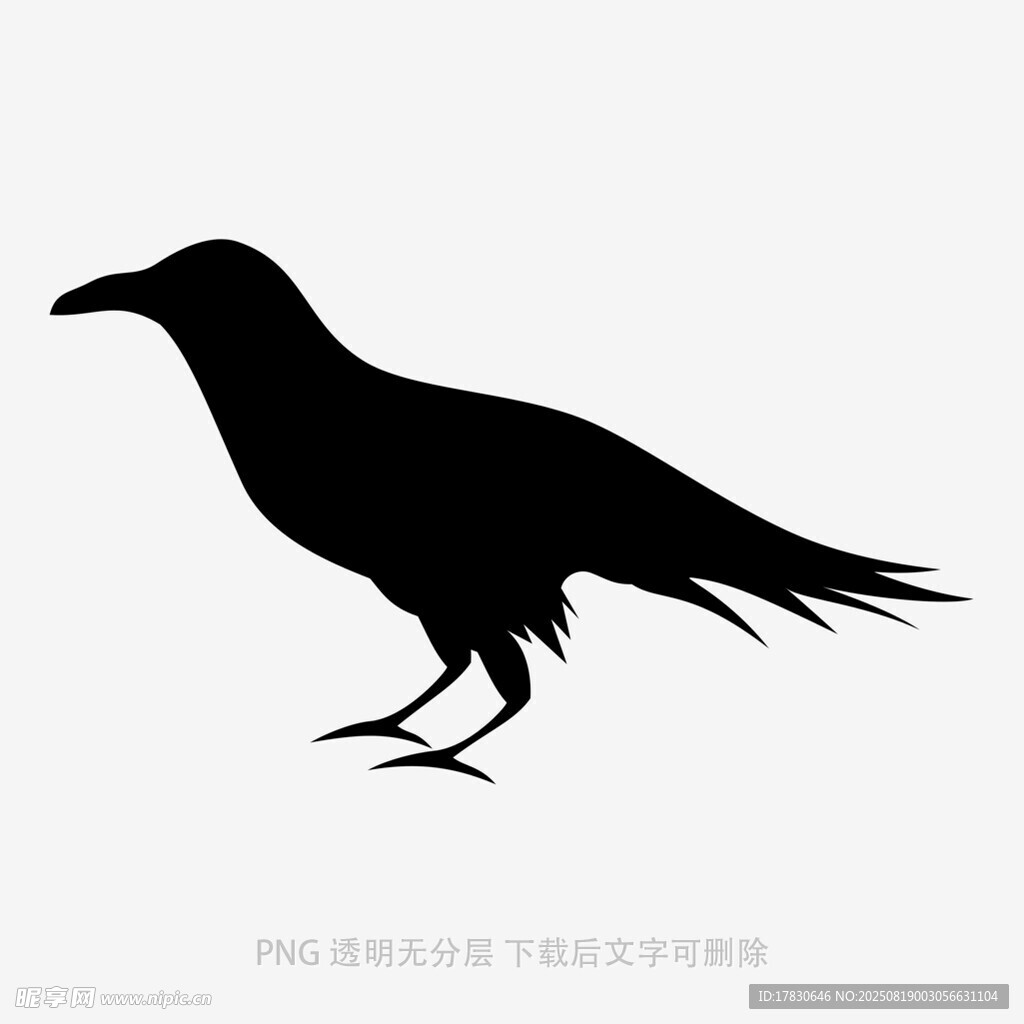 乌鸦