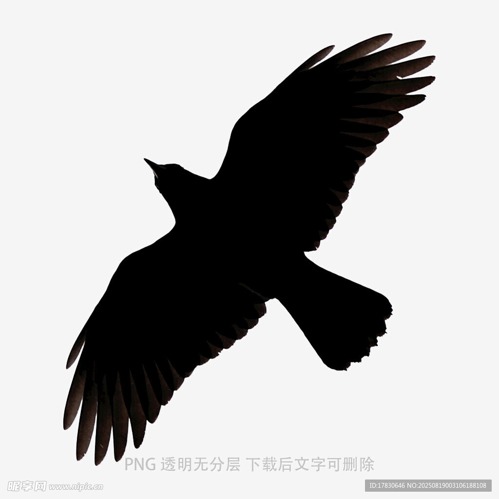 乌鸦