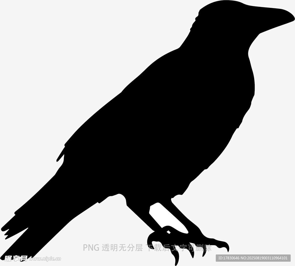 乌鸦
