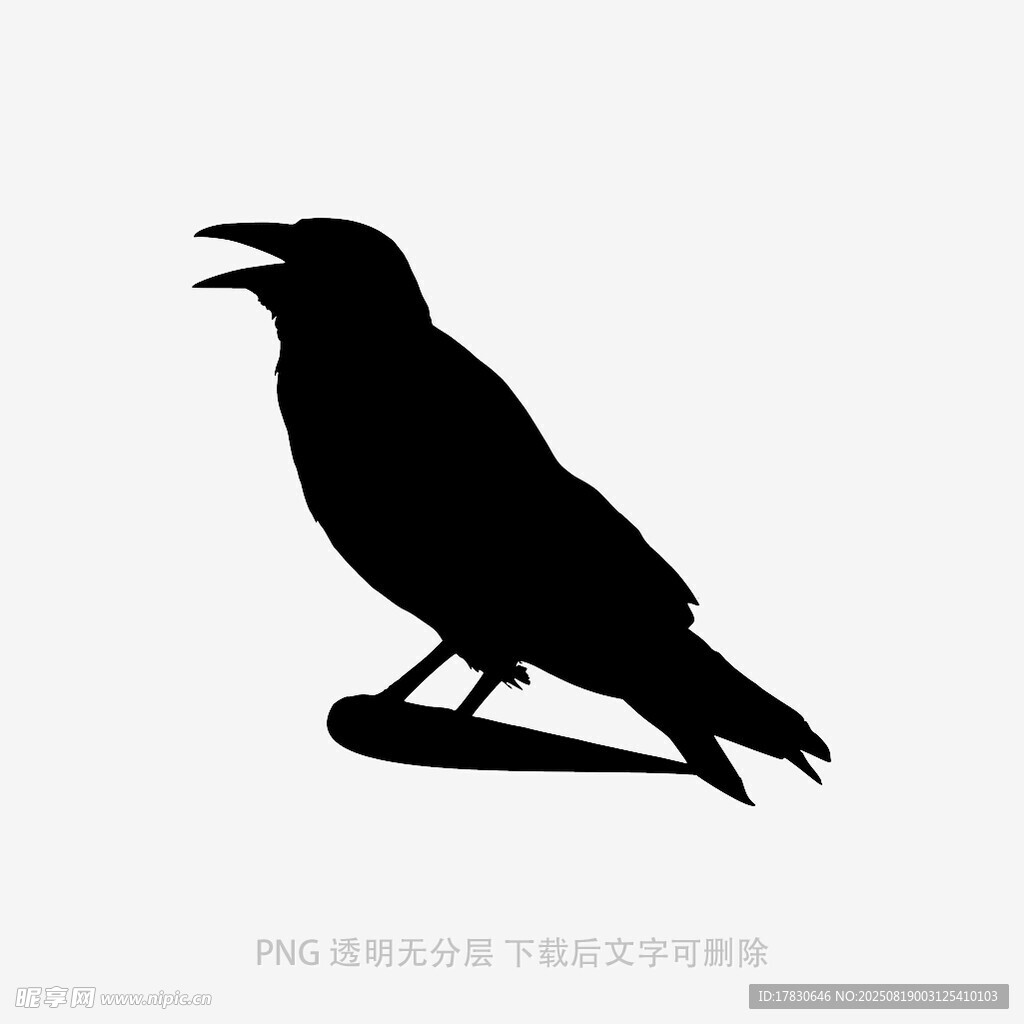 乌鸦