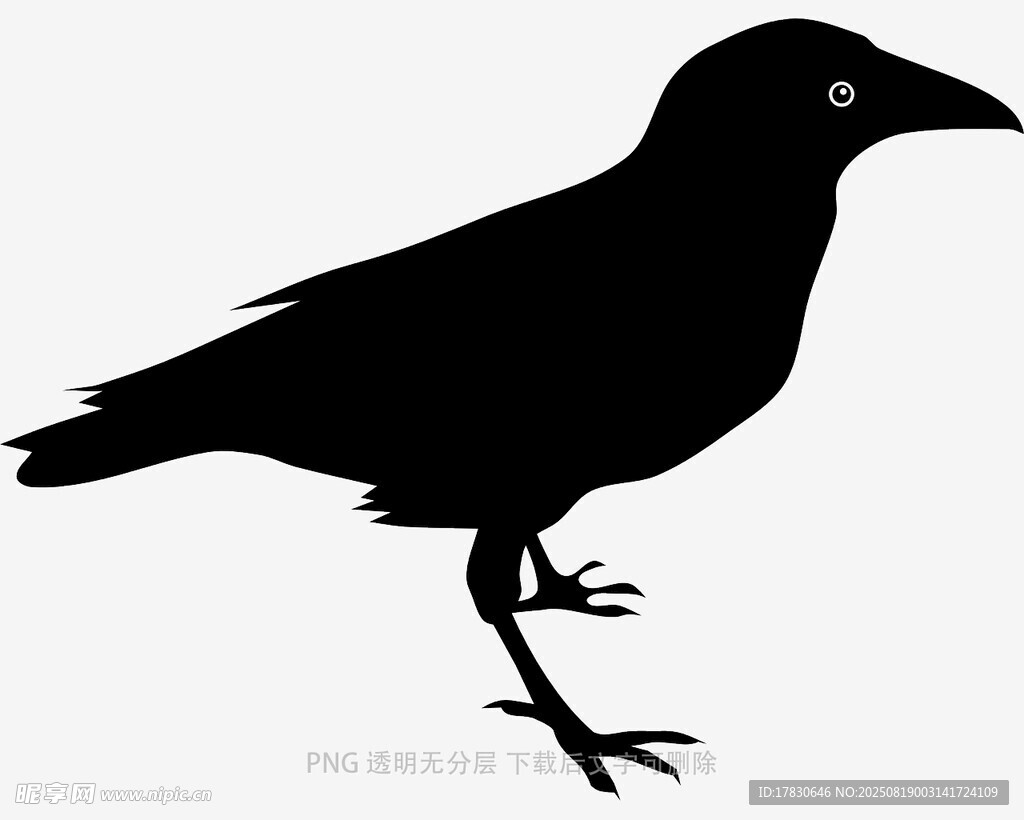 乌鸦