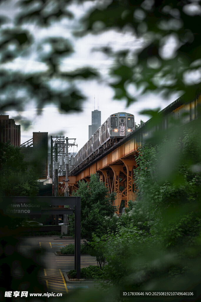 绿荫环绕的城市建筑景观