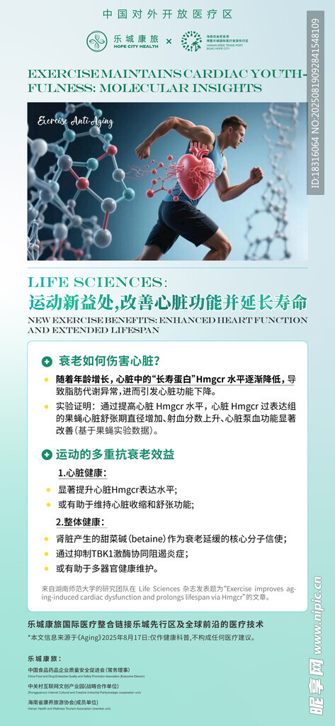 简约渐变清新保护心脏科普海报