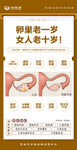 女性卵巢健康宣传海报