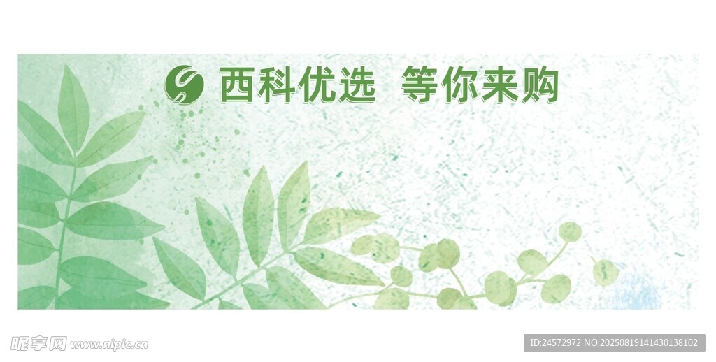 绿色背景