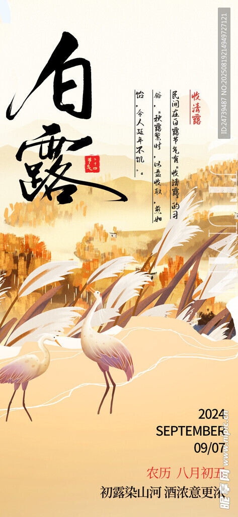 白露海报