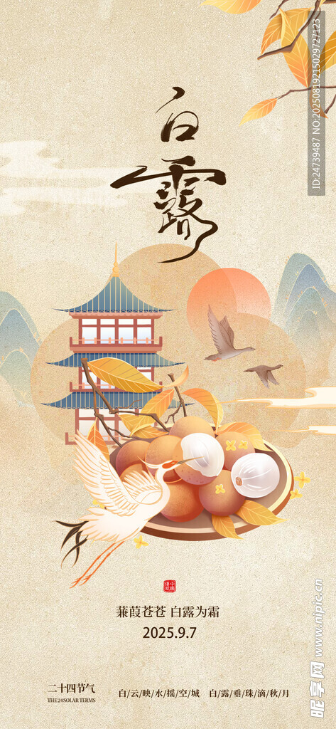 白露海报