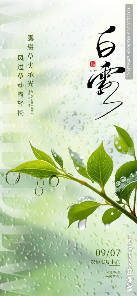 白露海报