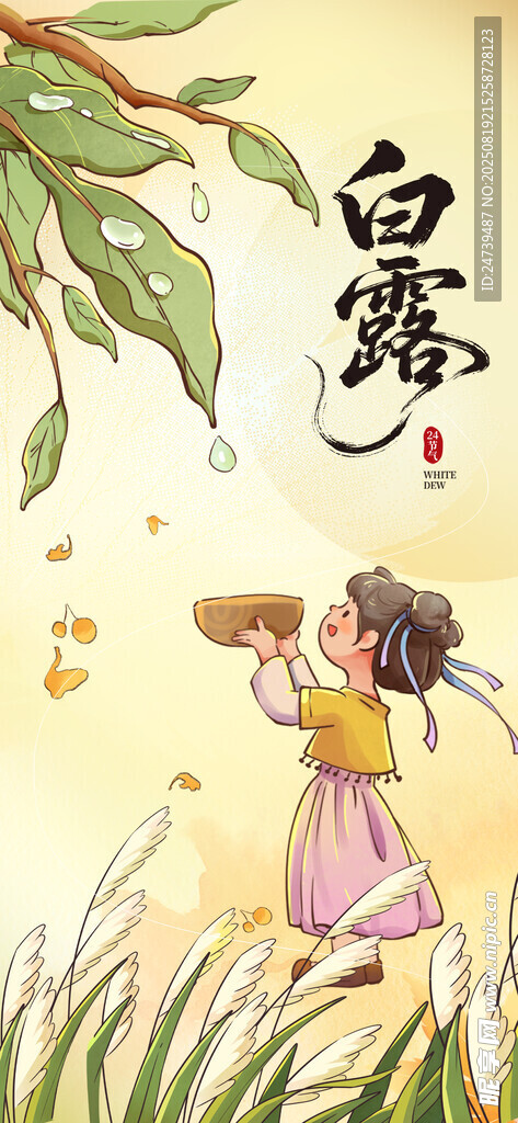 白露海报