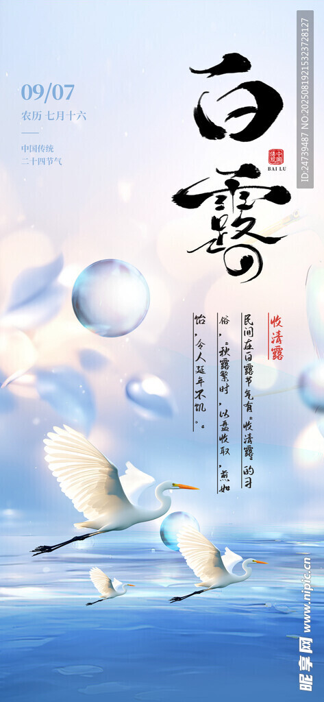 白露海报