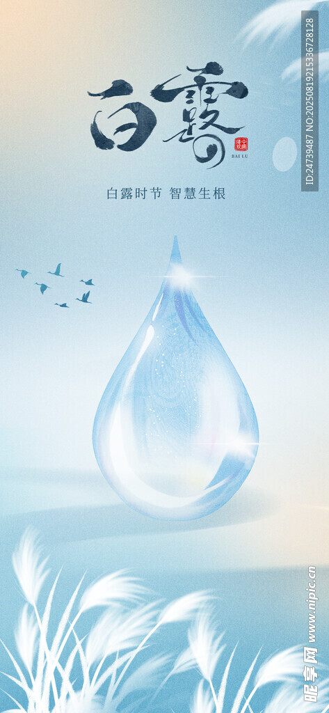 白露海报