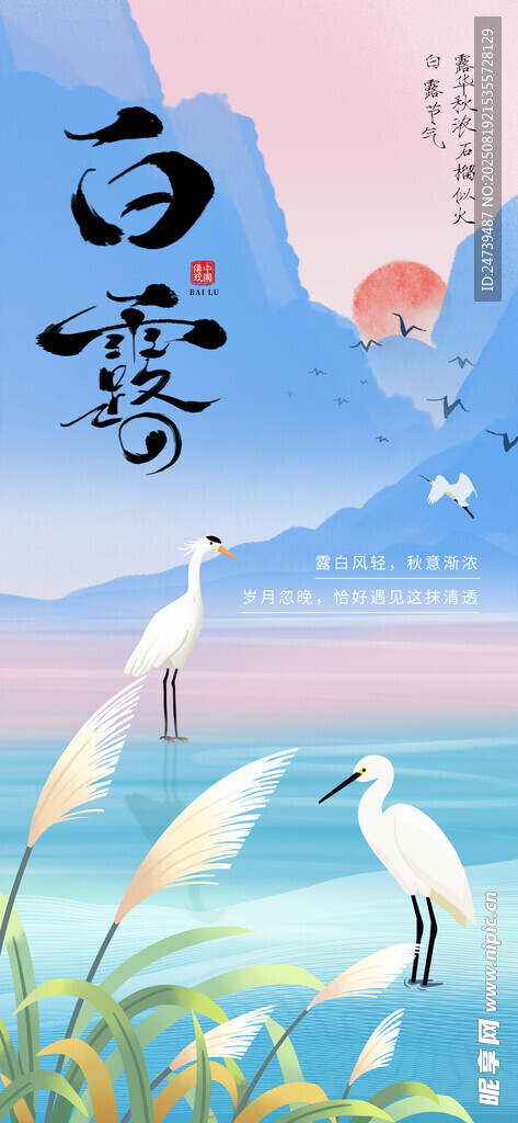 白露海报